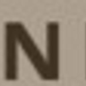 Logo FeynSinn Logo FeynSinn